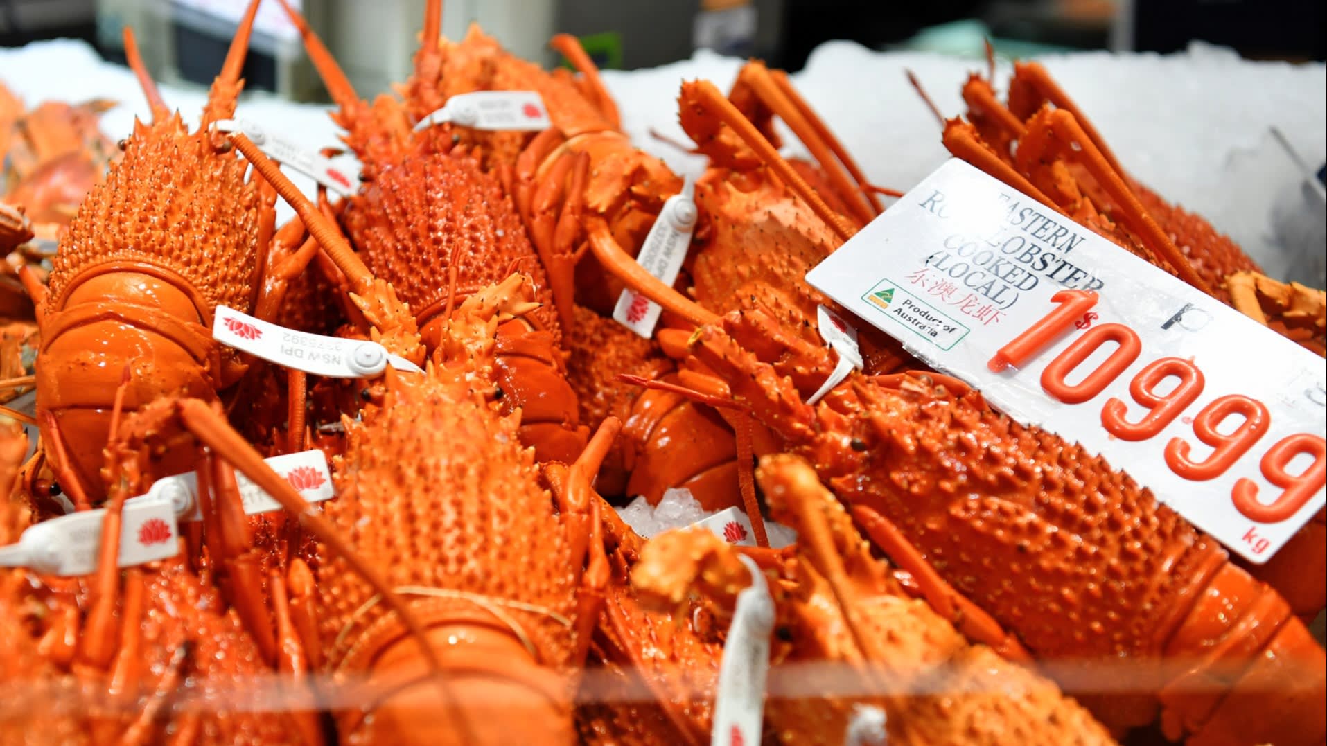 [Crisis Update] Why China’s Hold On Australian Lobster Could Means ...